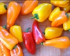 Picture of Sweet Bite Peppers