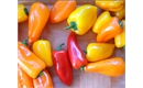 Picture of Sweet Bite Peppers