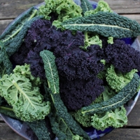 Picture of Mixed Summer Kale