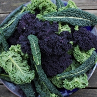 Picture of Mixed Spring Kale (225g)
