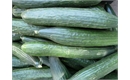 Picture of Long Cucumber