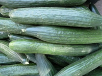 Picture of Long Cucumber