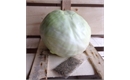 Picture of Cabbage & Lemongrass Sauerkraut (No Jar)