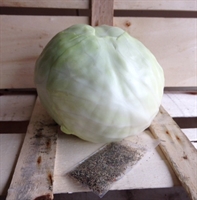 Picture of Cabbage & Lemongrass Sauerkraut (No Jar)