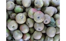 Picture of D'Arcy Spice Apples
