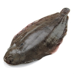Picture of Dover Sole