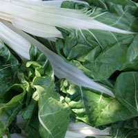 Picture of Swiss Chard