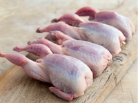 Picture of Quail