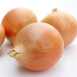 Picture of Brown Onions