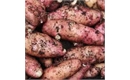 Picture of Pink Fir Apple Potatoes