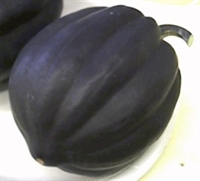 Picture of Acorn Squash