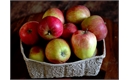 Picture of Early Windsor Apples