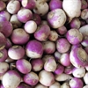 Picture of Turnips