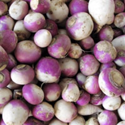 Picture of Turnips
