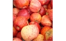 Picture of Gala Apples