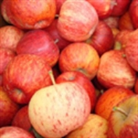 Picture of Gala Apples
