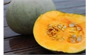 Picture of Crown Prince Squash