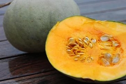 Picture of Crown Prince Squash