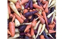 Picture of Mixed Chantenay Carrots