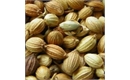 Picture of Coriander Seeds (40g)