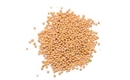 Picture of Mustard Seed, Yellow (50g)
