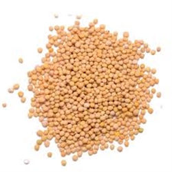 Picture of Mustard Seed, Yellow (50g)
