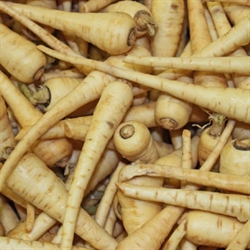 Picture of Baby Piccolo Parsnips