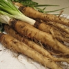 Picture of Salsify, bunched