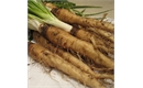 Picture of Salsify, bunched