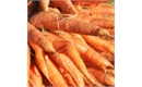 Picture of Suffolk Carrots, washed