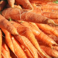 Picture of Suffolk Carrots, washed