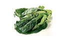 Picture of New Season Spring Greens