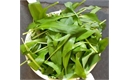 Picture of Wild Garlic