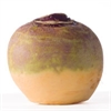 Picture of Swede