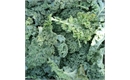Picture of Green Curly Kale
