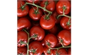 Picture of Classic Vine Tomatoes