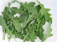 Picture of Wild Rocket