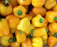 Picture of Yellow Peppers