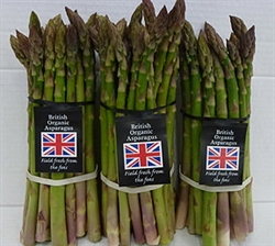 Picture of Asparagus, bunched (2 x 250g)