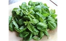 Picture of Fresh Basil