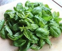 Picture of Fresh Basil