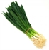 Baby Leeks, bunched (apx 10 head)
