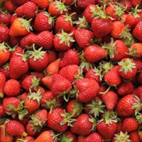 Picture of Kent Strawberries Class 1