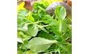 Picture of Mixed Salad leaves