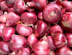 Picture of Red Onions