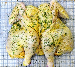 Picture of Garlic & Herb Spatchcock Chicken