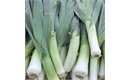 Picture of Leeks