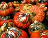 Picture of Turkish Turban Squash