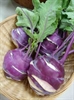 Picture of Purple Kohlrabi