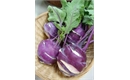 Picture of Purple Kohlrabi